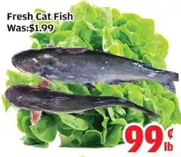 Top Food Supermarket Fresh Cat Fish offer