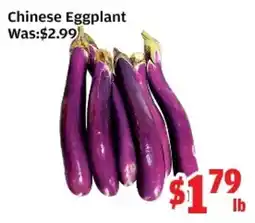 Top Food Supermarket Chinese Eggplant offer