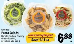 Farm Boy Farm Boy Pasta Salads offer