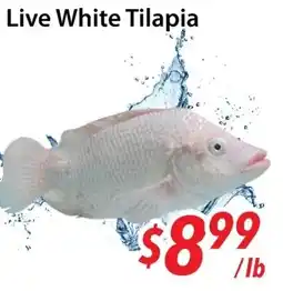 Bestco Food Mart Live White Tilapia offer