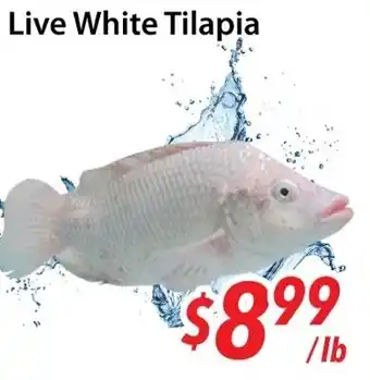 Bestco Food Mart Live White Tilapia offer