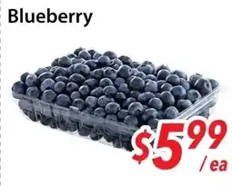 Bestco Food Mart Blueberry offer