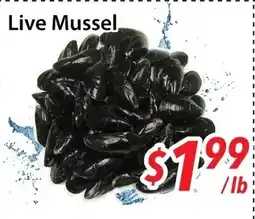 Bestco Food Mart Live Mussel offer