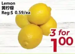 Asian Food Centre Lemon offer