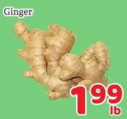 Fresh Value Ginger offer