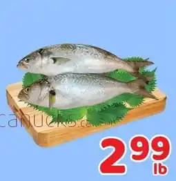 Fresh Value fish offer