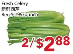 Yours Food Mart Fresh Celery offer