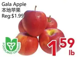 Yours Food Mart Gala Apple offer
