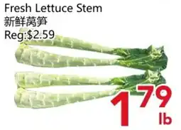 Yours Food Mart Fresh Lettuce Stem offer