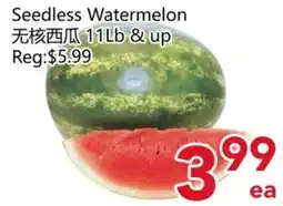 Yours Food Mart Seedless Watermelon offer