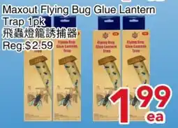 Yours Food Mart Maxout Flying Bug Glue Lantern offer