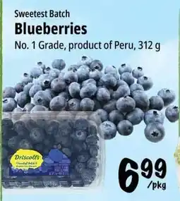Farm Boy Driscoll's blueberries offer