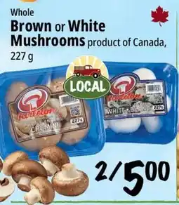 Farm Boy Pardolon Brown or White Mushrooms offer