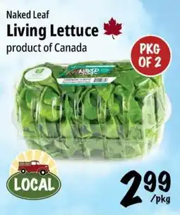 Farm Boy Naked Leaf Living Lettuce offer