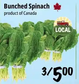 Farm Boy Bunched Spinach offer