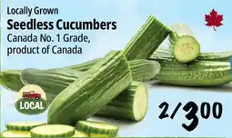Farm Boy Seedless Cucumbers offer