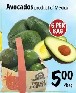 Farm Boy Avocados offer