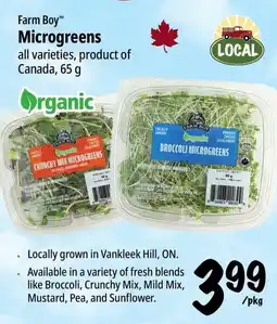 Farm Boy Farm Boy Microgreens offer