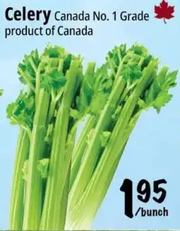 Farm Boy Celery offer