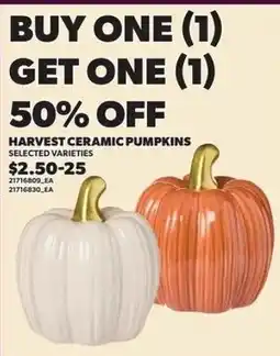 Zehrs Markets Harvest Ceramic Pumpkins offer