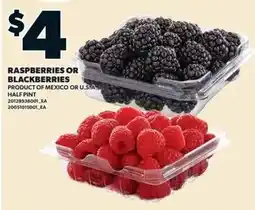 Zehrs Markets Raspberries or Blackberries offer
