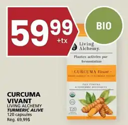 Rachelle-Bery Grocery Living Alchemy curcuma vivant offer