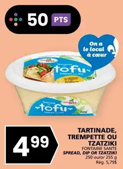 Rachelle-Bery Grocery Fontaine sante tofu spread or dip offer