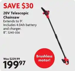 Home Hardware 20v telescopic chainsaw offer