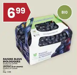 Rachelle-Bery Grocery Raisins bleus biologiques offer