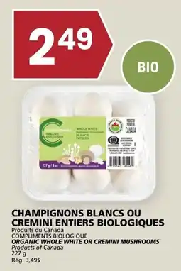 Rachelle-Bery Grocery Compliments organic whole white or cremini mushrooms offer