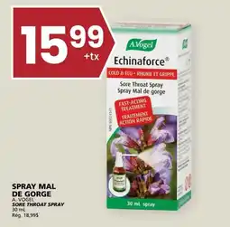 Rachelle-Bery Grocery A. Vogel sore throat spray offer