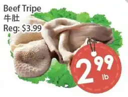 Fresh Palace Supermarket Beef Tripe offer