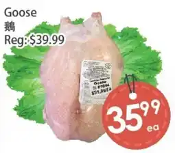Fresh Palace Supermarket Goose offer