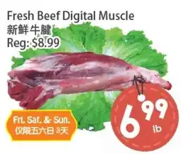 Fresh Palace Supermarket Fresh Beef Digital Muscle offer