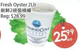 Fresh Palace Supermarket Evening Cove oysters offer