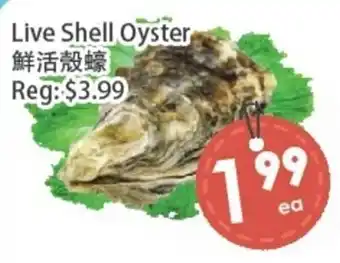 Fresh Palace Supermarket Live Shell Oyster offer