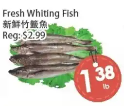Fresh Palace Supermarket Fresh Whiting Fish offer