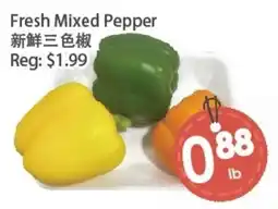 Fresh Palace Supermarket Fresh Mixed Pepper offer
