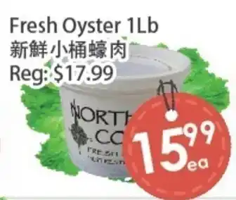Fresh Palace Supermarket Fresh Oyster offer