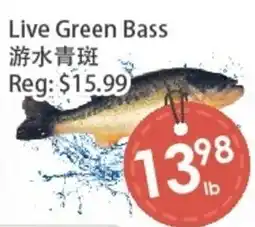 Fresh Palace Supermarket Live Green Bass offer