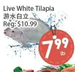 Fresh Palace Supermarket Live White Tilapia offer