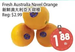 Fresh Palace Supermarket Australia Navel Orange offer