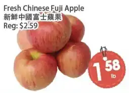 Fresh Palace Supermarket Fresh Chinese Fuji Apple offer