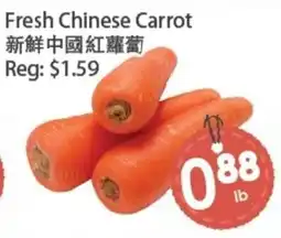 Fresh Palace Supermarket Fresh Chinese Carrot offer