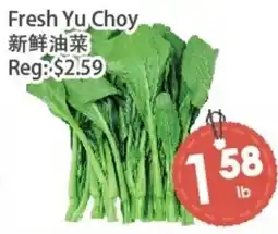 Fresh Palace Supermarket Fresh Yu Choy offer