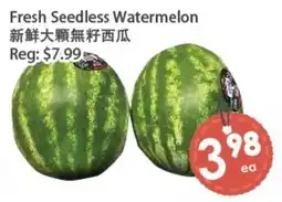 Fresh Palace Supermarket Fresh Seedless Watermelon offer