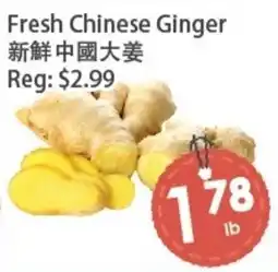 Fresh Palace Supermarket Fresh Chinese Ginger offer