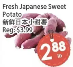 Fresh Palace Supermarket Fresh Japanese Sweet Potato offer