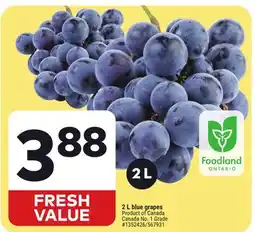 Giant Tiger 2 L Blue Grapes offer