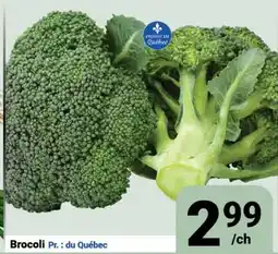 Pasquier Brocoli offer